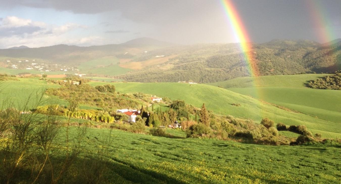 writing under a rainbow